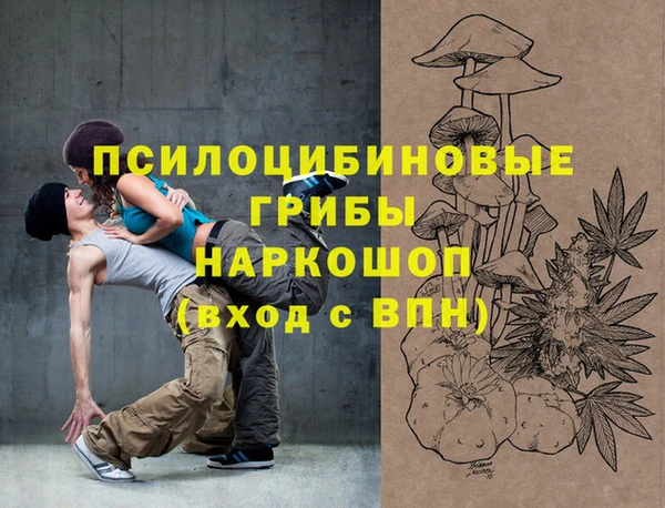 бошки Няндома