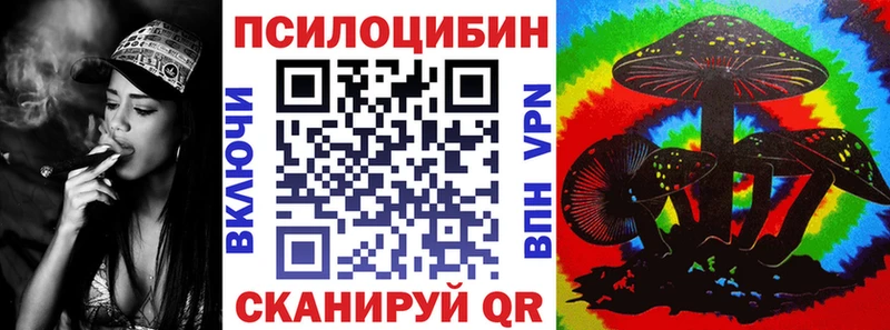 Галлюциногенные грибы Psilocybine cubensis  что такое   Приволжск 