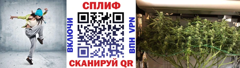 Конопля семена где найти Приволжск
